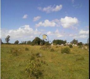Area para Venda - 1.100.000m², Vila Santa Rosa