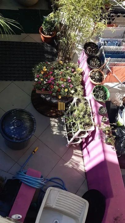 Apartamento 2 dormitórios no bairro Petrópolis