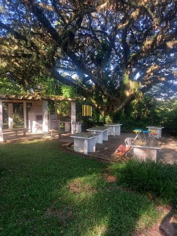 Sítio 6 dormitórios no bairro Fiuza