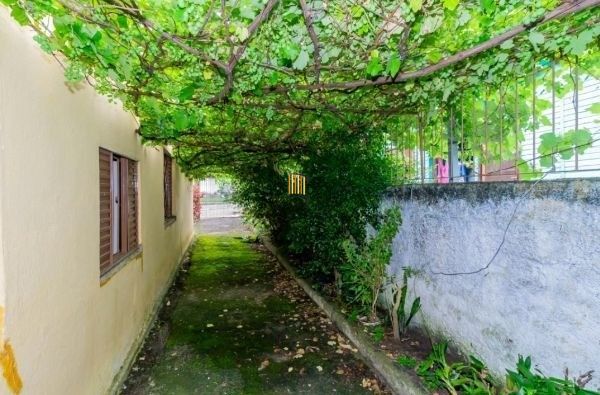 Casa / Terreno com 3 casas de alvenaria no bairro Morro Santana