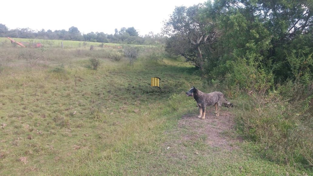 Sítio 1 dormitório no bairro Pedreira