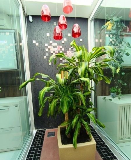 LOJA TÉRREA NO BAIRRO HIGIENÓPOLIS COM 2 VAGAS