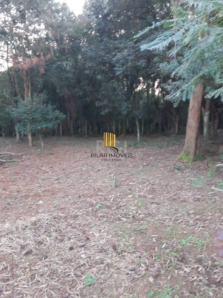 Terreno para Venda - 0m², 0 dormitórios, Sítio Túnel Verde