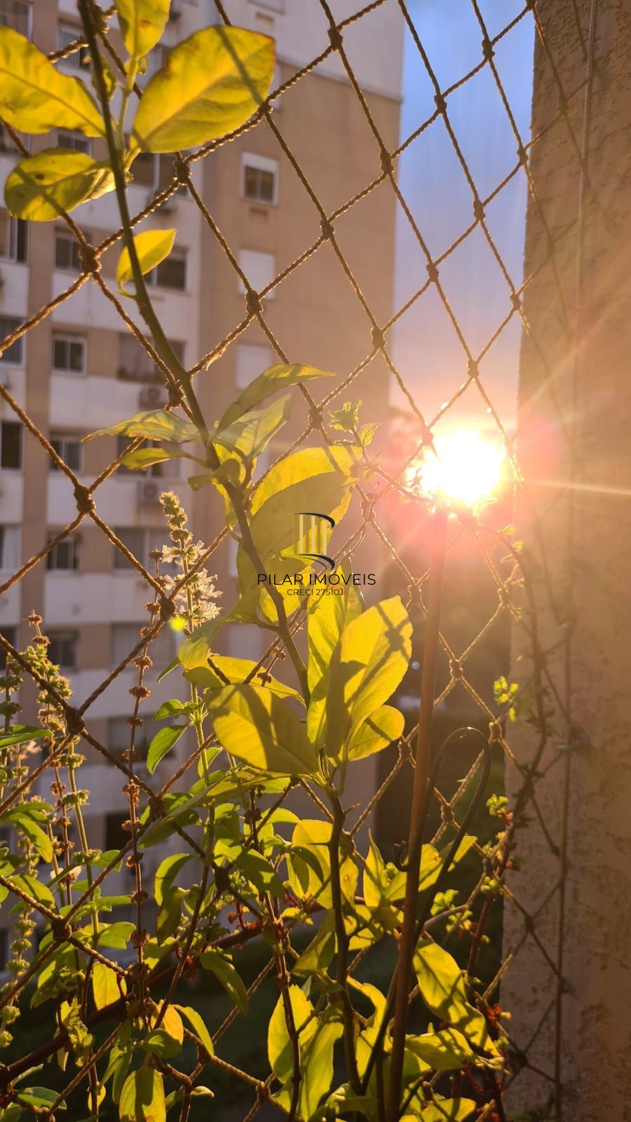 Apartamento 2 Dormitórios Jardim Carvalho