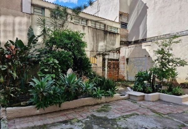 Apartamento no Centro de 3 dormitórios DESOCUPADO