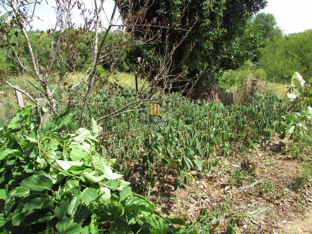 Sítio 2 Dormitório(s) Bairro Lageado