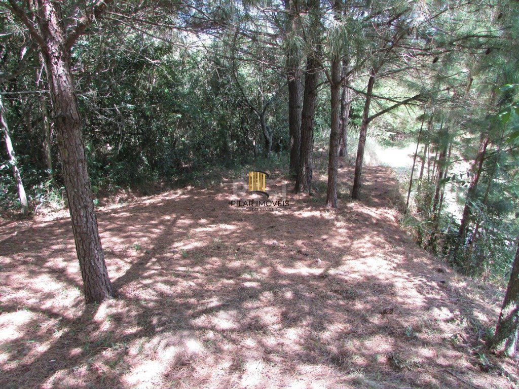 Sítio 2 Dormitório(s) Bairro Lageado