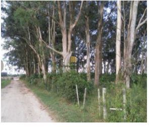 Area para Venda - 1.100.000m², Vila Santa Rosa