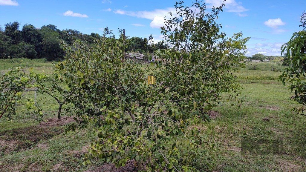 Sítio para Venda 4 dormitórios em Nova Santa Rita
