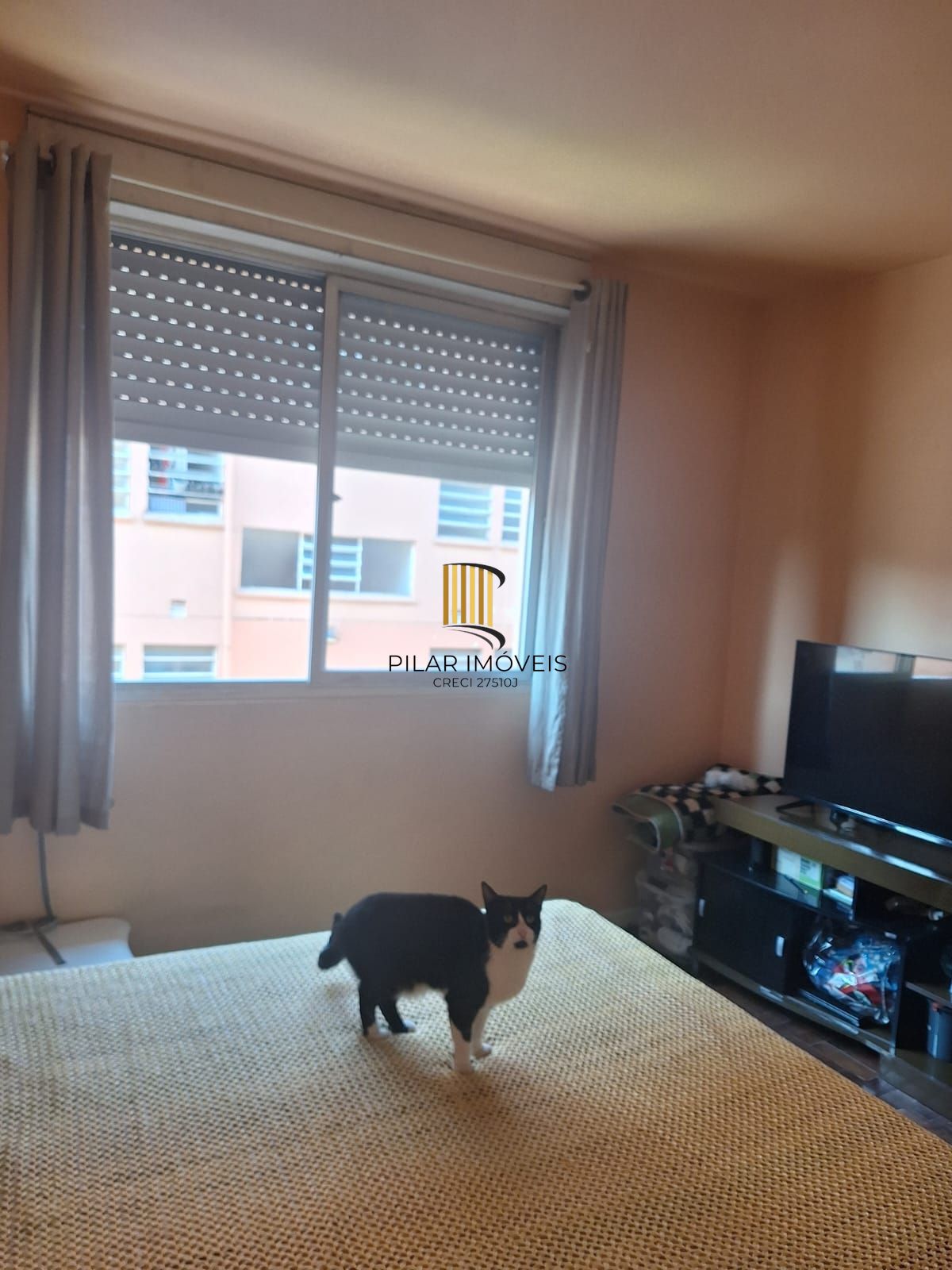 Apartamento no bairro Costa e Silva de 1 dormitório