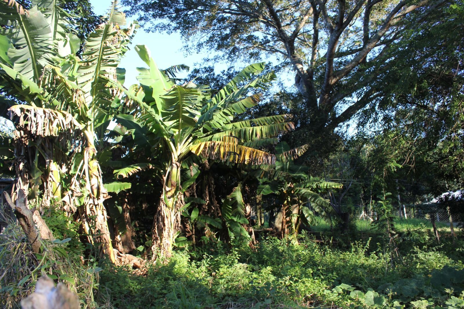 Sítio 1 dormitório no bairro Itapuã