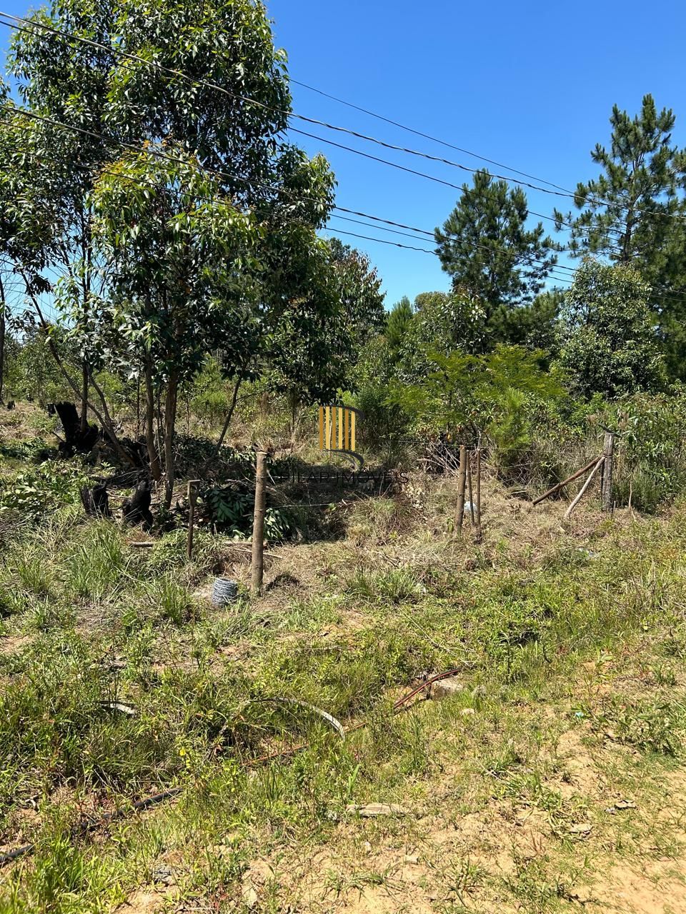 Terreno no bairro Lageado - Pilar Imóveis