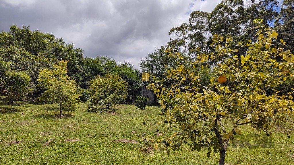 Sítio para Venda 4 dormitórios em Nova Santa Rita