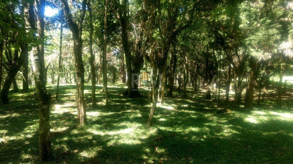 Sítio para Venda - 230m², 3 dormitórios, sendo 1 suites, 4 vagas - Centro