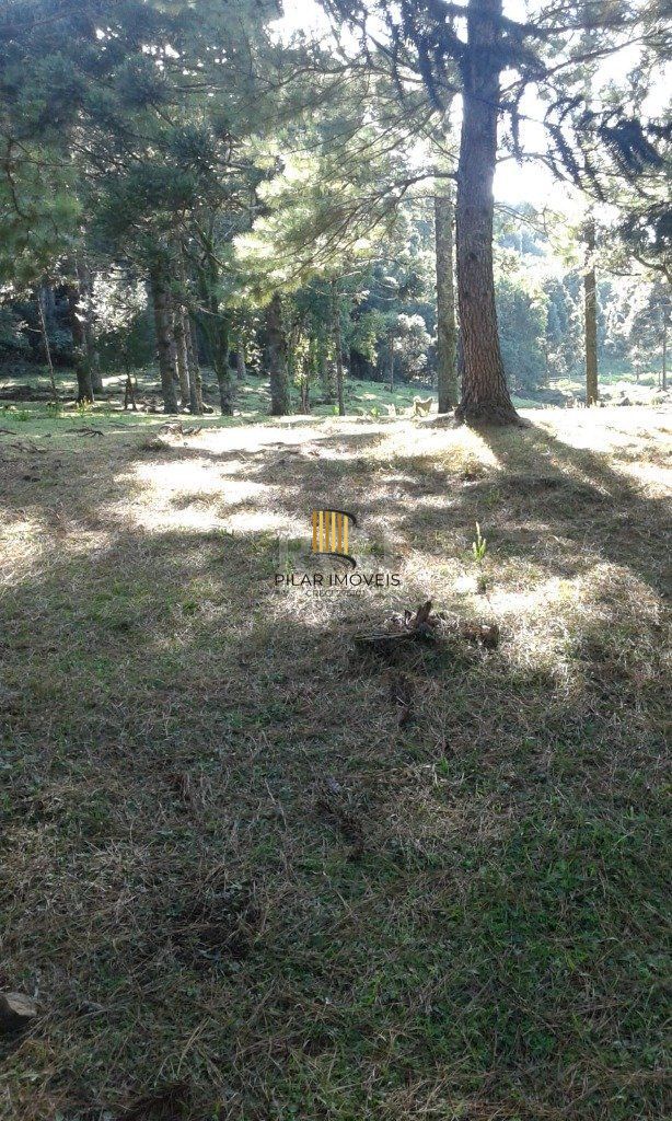 Sítio para Venda - 230m², 3 dormitórios, sendo 1 suites, 4 vagas - Centro