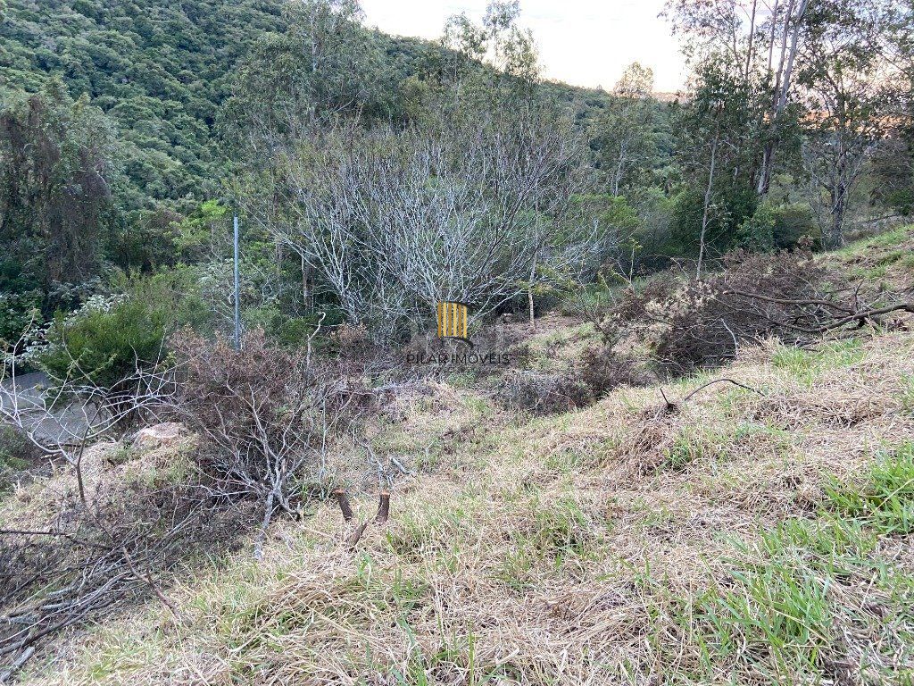 Terreno para Venda - 0m², 0 dormitórios, Santa Isabel