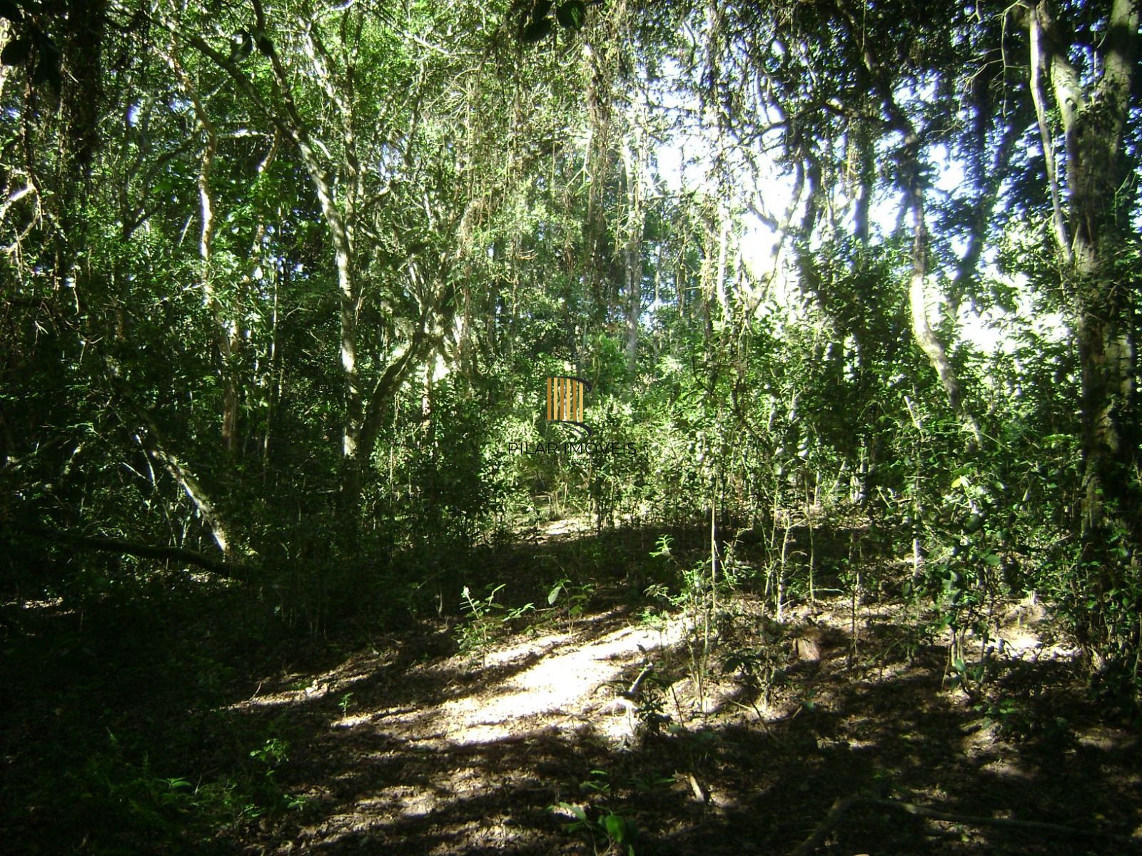 Sítio 1 dormitório no bairro Itapuã