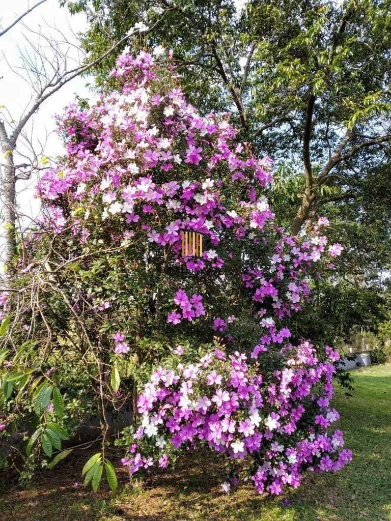 Casa Condominio 3 Dormitório(s) Bairro Águas Claras