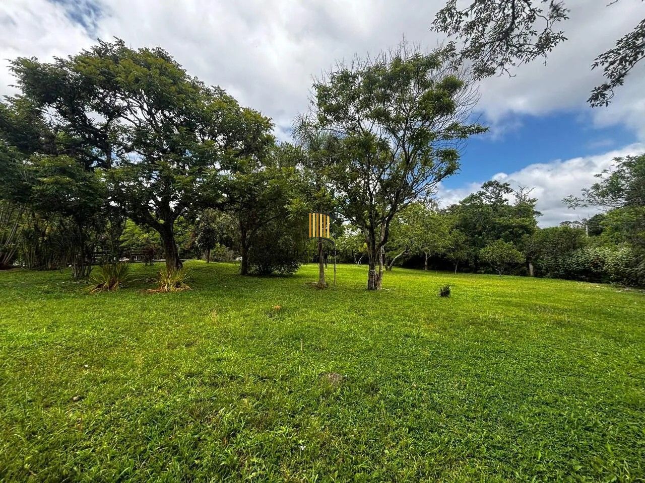 Sítio 6 dormitórios no bairro Fiuza