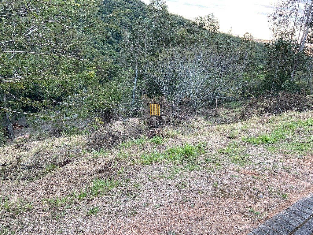 Terreno para Venda - 0m², 0 dormitórios, Santa Isabel
