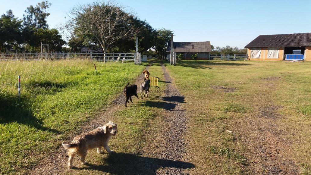 Sítio 1 dormitório no bairro Pedreira