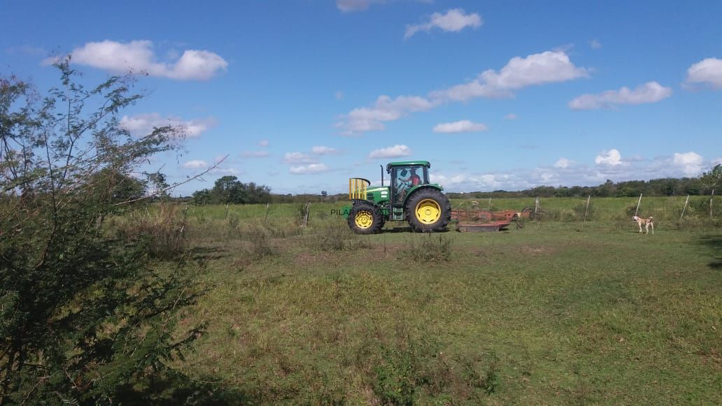 Sítio 1 dormitório no bairro Pedreira