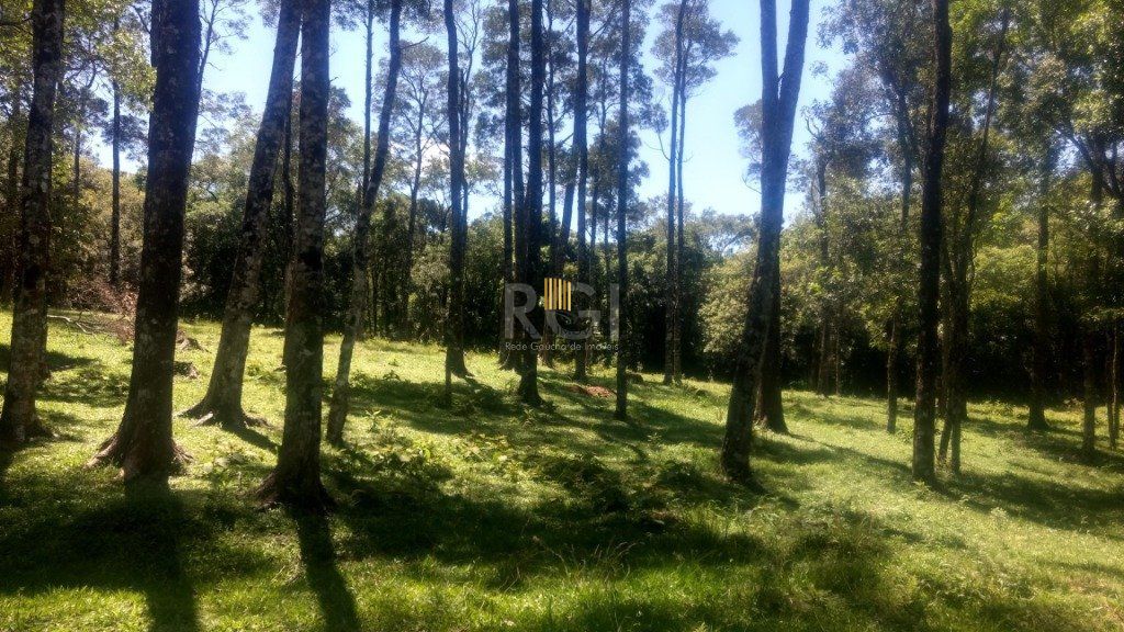 Sítio para Venda - 230m², 3 dormitórios, sendo 1 suites, 4 vagas - Centro