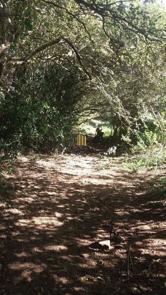 Sítio 1 dormitório no bairro Pedreira