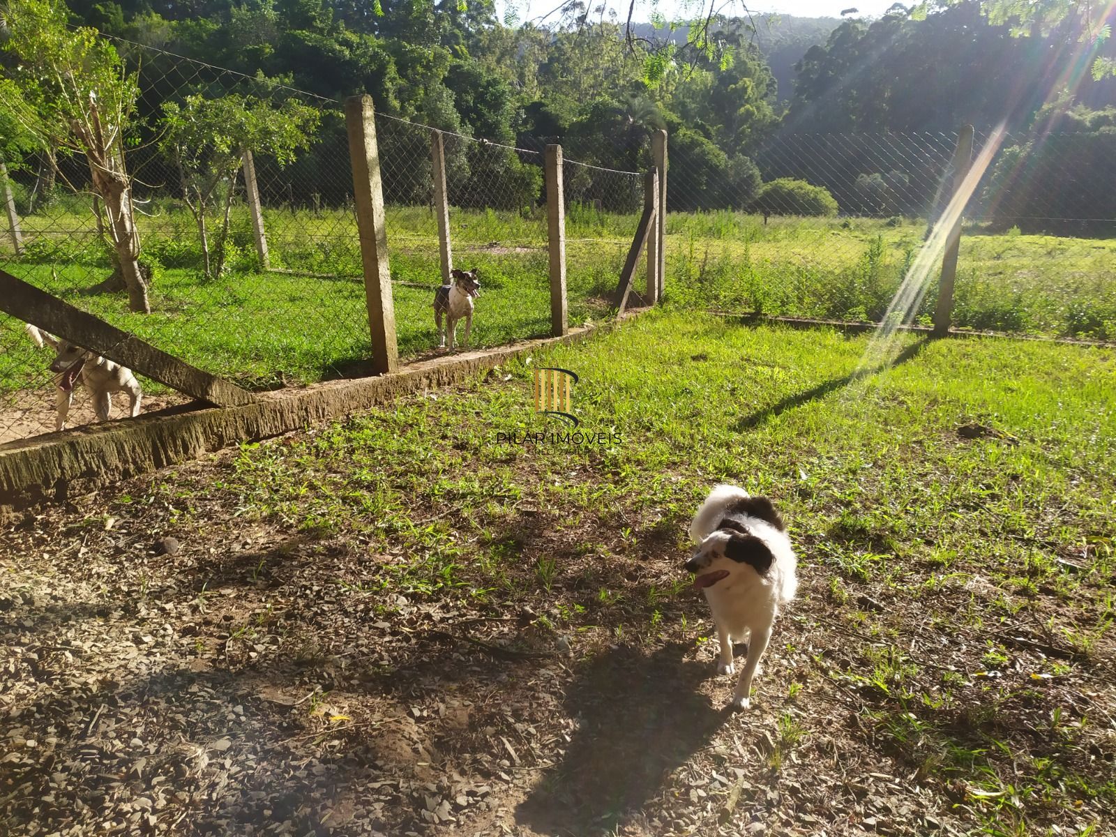 Sítio 1 dormitório no bairro Itapuã