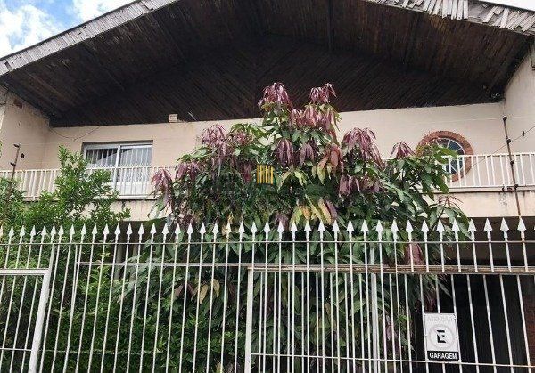 CASA SOBRADO NO cRISTO rEDENTOR DE 5 DORMITÓRIOS E 3 VAGAS