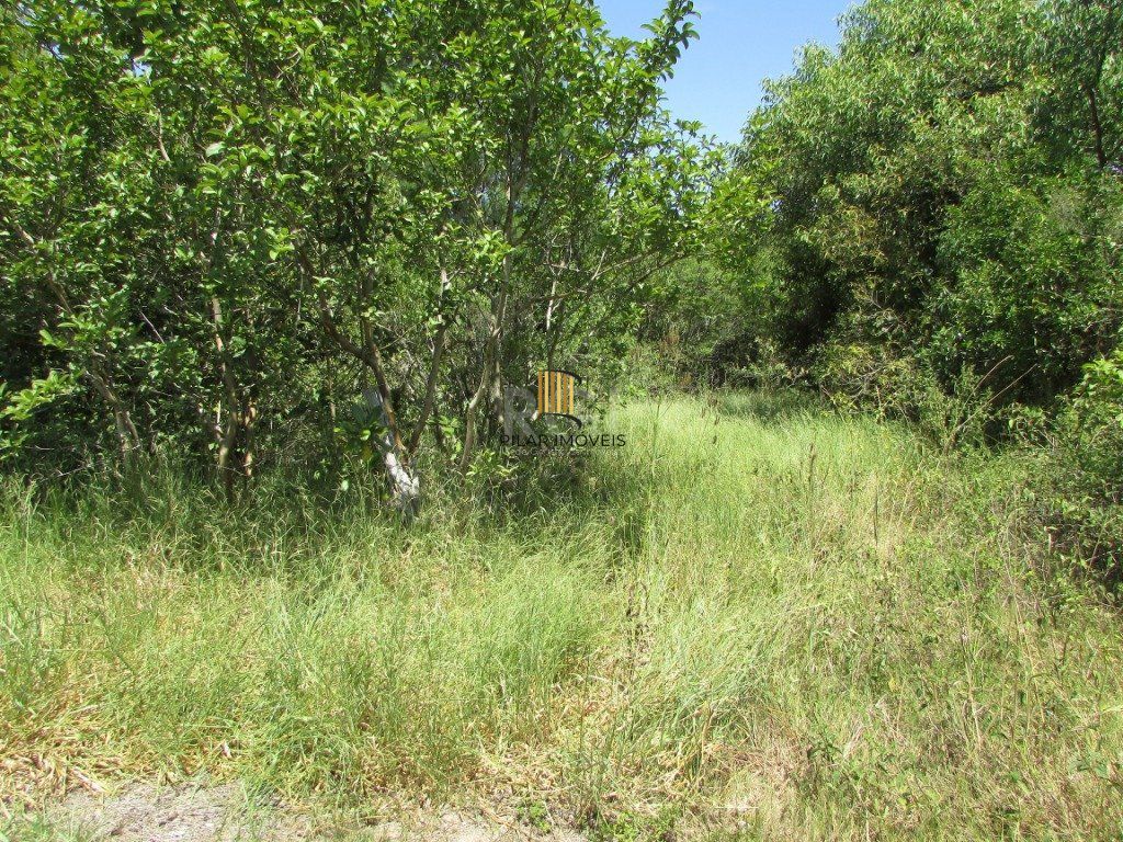 Sítio 2 Dormitório(s) Bairro Lageado