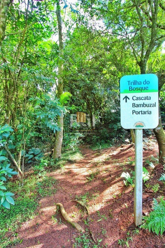 Apartamento no Nonoai de 2 dormitórios vaga e infra
