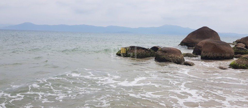 Terreno para Venda - Ponta das Canas - Florianópolis