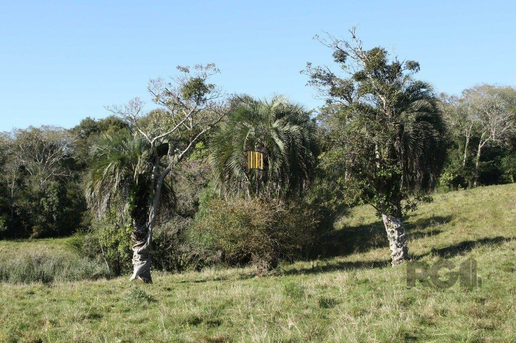 Area Bairro Passo das Pedras