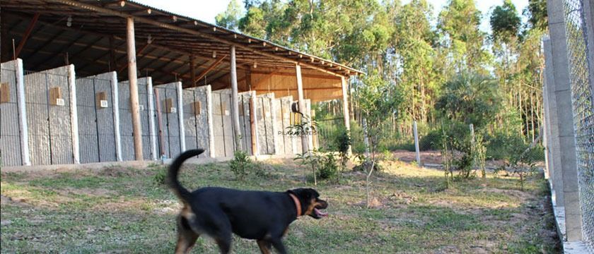 Sítio 1 dormitório no bairro Itapuã