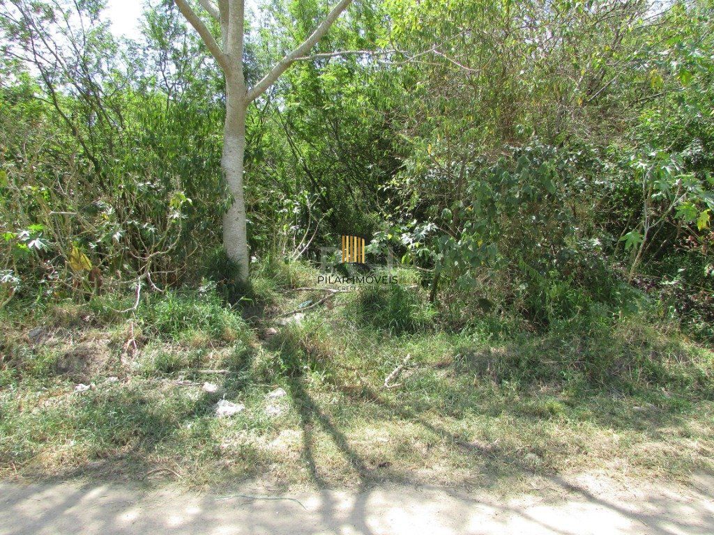 Sítio 2 Dormitório(s) Bairro Lageado