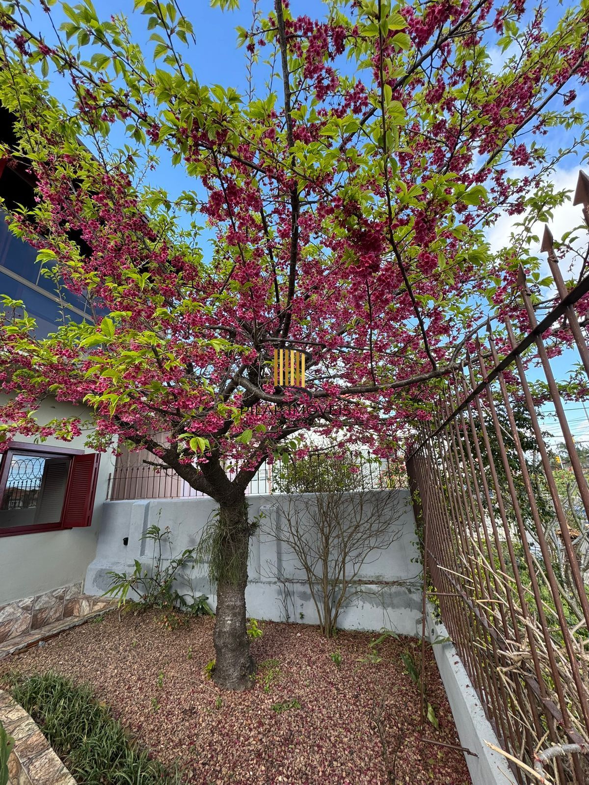 Casa 4 dorms à venda Avenida Manoel Elias, Porto Alegre.