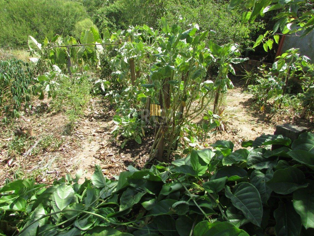 Sítio 2 Dormitório(s) Bairro Lageado