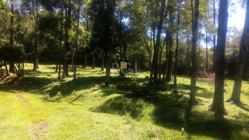 Sítio para Venda - 230m², 3 dormitórios, sendo 1 suites, 4 vagas - Centro