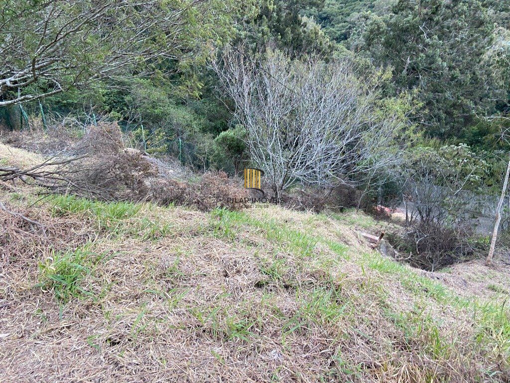 Terreno para Venda - 0m², 0 dormitórios, Santa Isabel
