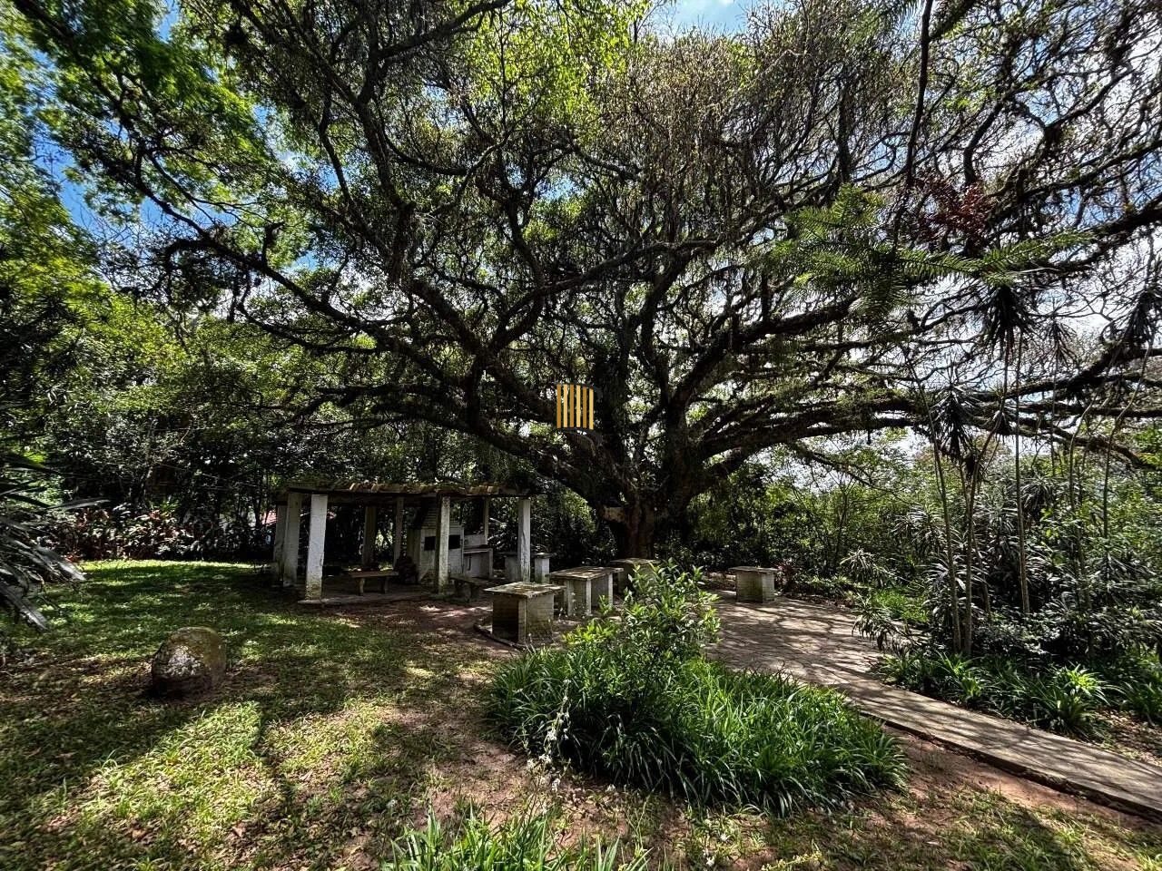 Sítio 6 dormitórios no bairro Fiuza