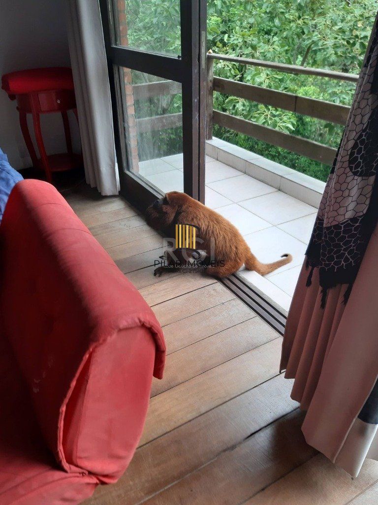 Terreno de 5.280 m², com 3 casas, no bairro Ponta Grossa, em Porto Alegre.