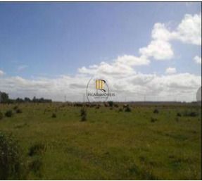 Area para Venda - 1.100.000m², Vila Santa Rosa