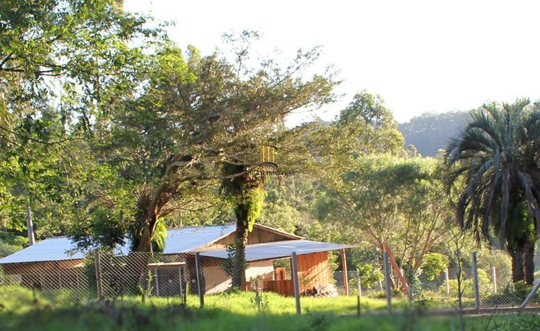 Sítio 1 dormitório no bairro Itapuã