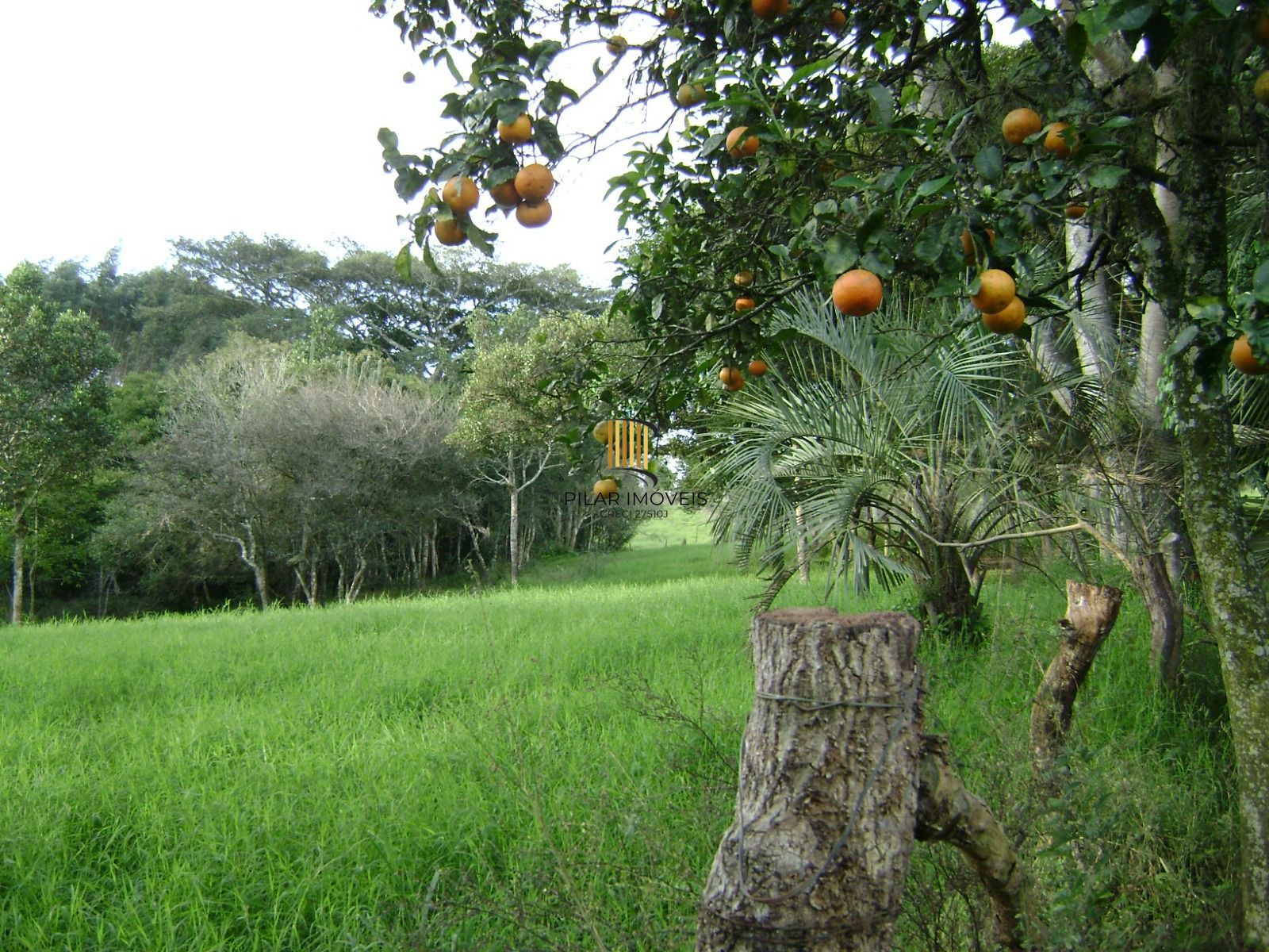 Sítio 1 dormitório no bairro Itapuã