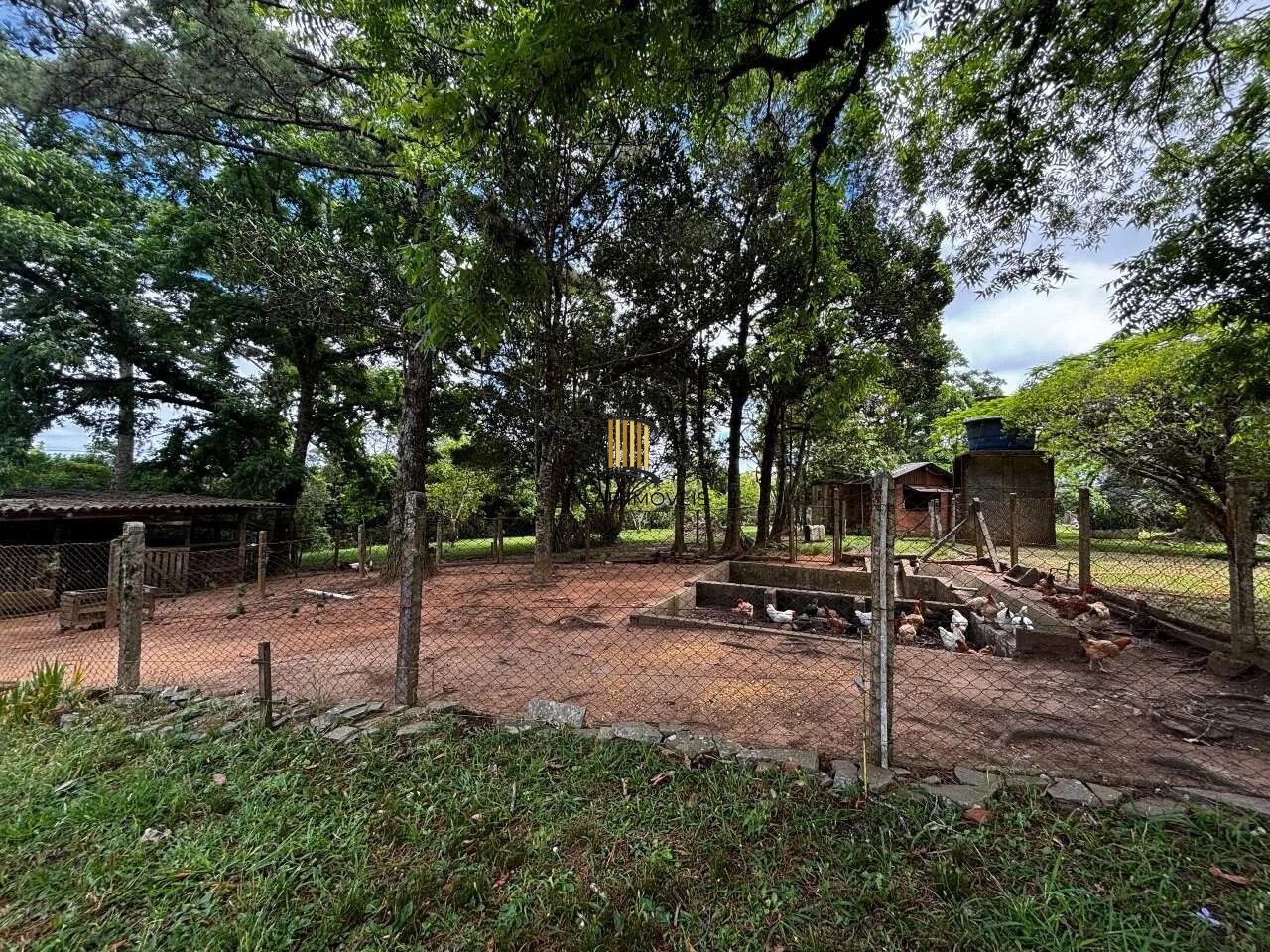 Sítio 6 dormitórios no bairro Fiuza