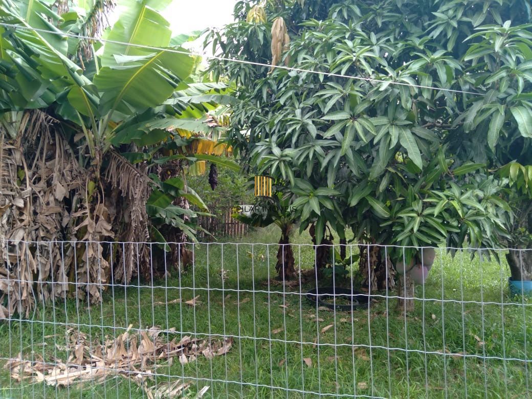 Sítio 3 dormitórios no bairro Passo do Vigário - Pilar Imóveis