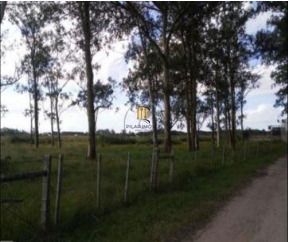 Area para Venda - 1.100.000m², Vila Santa Rosa