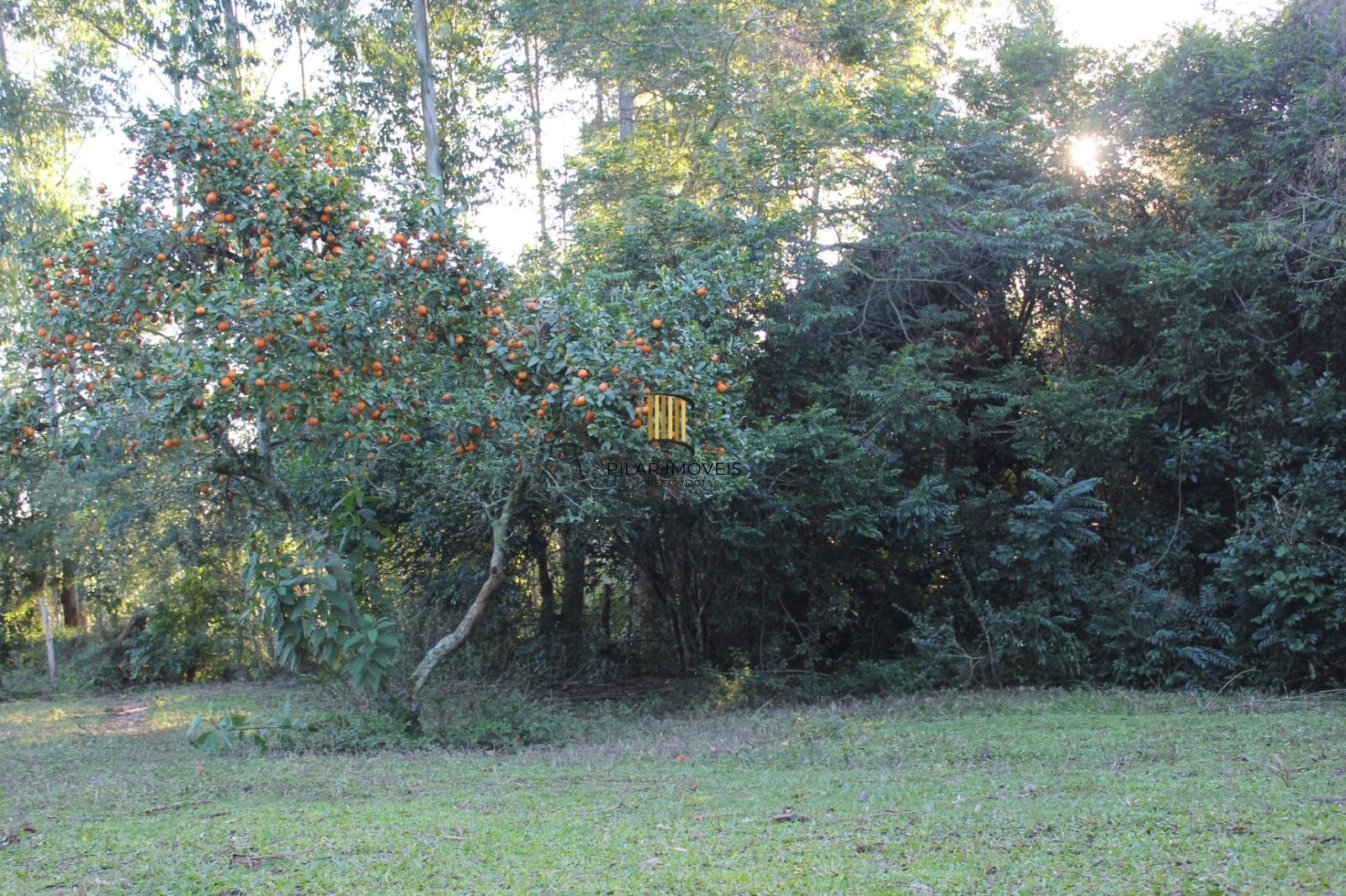 Sítio 1 dormitório no bairro Itapuã