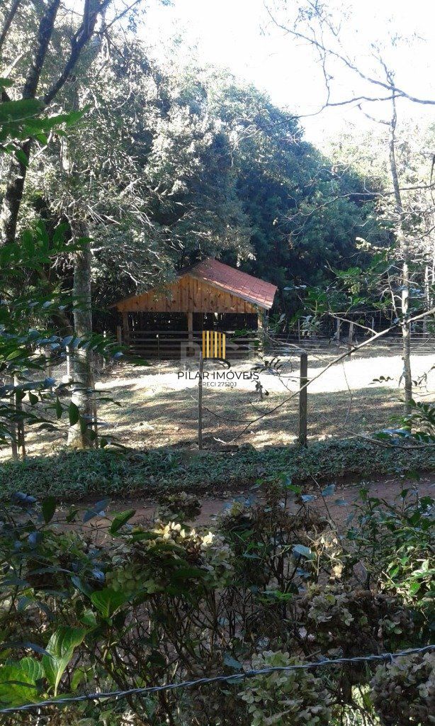 Sítio para Venda - 230m², 3 dormitórios, sendo 1 suites, 4 vagas - Centro